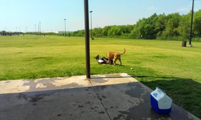 AC9h4noS4vMyct77eIAfI npwQMdNM2dcTakJLak0NT5w nWy8PKT QO6QLO8m7OoitwAzb9CMcALG2IwGHvcB7GWIen0ALeMkur tsOtwV3lgNPnUhIhhoEUvMiKUUND4KdfvPR4AMbNAw1600 h1000 k no