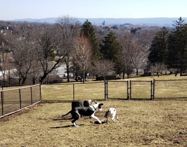 AC9h4noSDLiwYSglD SI PE prScxsmNRp8yhxWiovWa5IKqvJ8HtFIp xvwzAypGNiWJcy9SBBZJH1DTsf nupQC1rjkB4dnzTJV5T kMJdyatv14GcAXPib3aF6onGfgAyQ3YizEvBw1600 h1000 k no