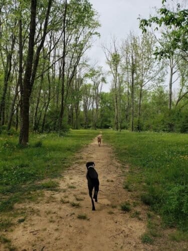 AC9h4noSJ mEwr7pn8aFWakBaqktJbDRpvThBPHG6k6K05HaSg1HaZC0fMy0YJbYTaANSc5CJLAXU8Z9rz8X5 aWqg7jO8ReCfLQfPjlmfPfSjaUq2KgycIXE1jRO7rX4ePXXjCtIzjIw1600 h1000 k no