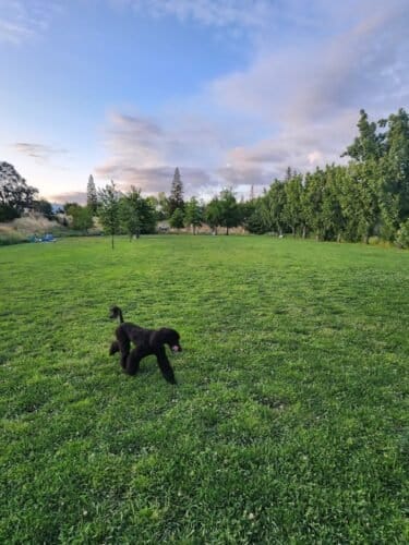 AC9h4noSLneyJwZoKWqI9sEGxDkz7DwavJ9jOPK71EgoTKtfueeb7shoFc9wYpjNoMK3d2Gr3fVTo m4Gx7zcDS8qX Y7aOeu4v6y3Kw9 q kotZprbGkOBYHDzabVxbHohCX y0j96ow1600 h1000 k no