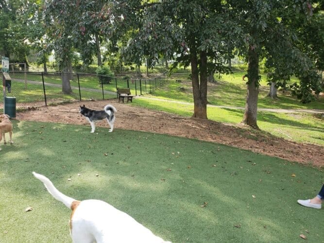 AC9h4noSbSslvJEZ1T X8qgT2jAAbqf9aCxnlzxskEH vbk9AHej9agG2Pxu7ZWbPb8dS1EYwPO9I2oKxzKtFRSJwAj3eSm3Euvx6pF 1SHMnnMuRzFXNMwqzuPbwUP x5DdgZ uqqAyCgw1600 h1000 k no