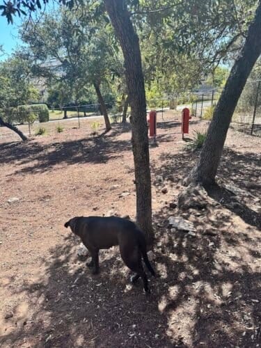 AC9h4noSp2qUwLdLrRMUQt j QIASZggMIXnwapIN2rX5MJb bRmzryP5TB IAm6QbZgAuy7sqA9Fg4d3nFeg2QzIO5 3nfWfb5DyMXtyZP7E2jhzKDAf5 HhwOp CisTbrViaYuetKIAw1600 h1000 k no