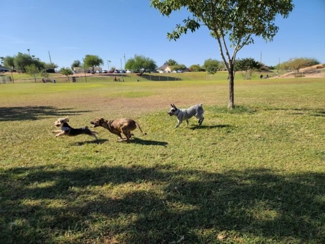 AC9h4noStDKyU 8FVpjtQMbD4bo e0FvbIF0Ow8fNjS5k0pcs nNRGlrfVvd ZNy95cXbJ WuinaD FFSJrGAtHWoWPF34WftdFAwafuigw1600 h1000 k no