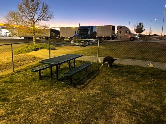 AC9h4noSuS79I67yJRHpKtn72vg6e8bWMuN8YCOXHlZxyt8ufF4VZU5ap6uuRyyyL31j68ziQUONXR0mdQgHbleMtHwcnajuKWNOCxJWuiWJGPN3uSWk9WaMrXmr7OAA a3X5PUw5Z4w1600 h1000 k no