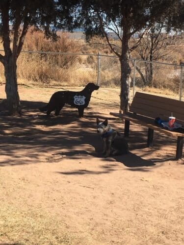 AC9h4noT8LPkFDIKja3NFnzTYgEKjDAmKwMStQaQw R8 lOJM4g6JiqXiGUGnj3XVkLeLJx6hlvXZ3Aw7nPzBt1sCJutmeja1PnS dWyoQw1600 h1000 k no