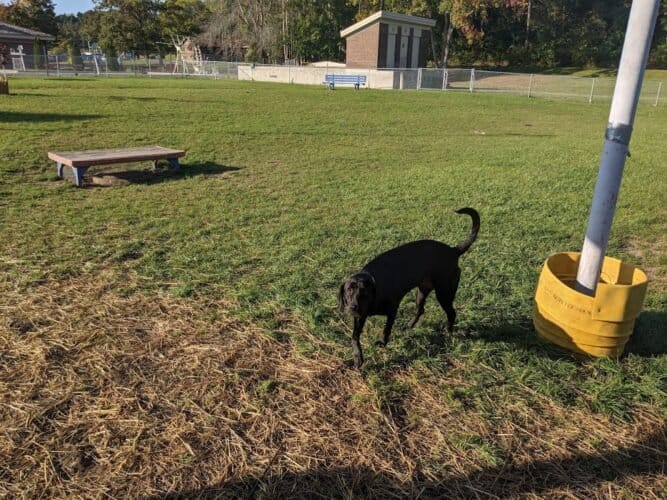 AC9h4noTDjz y3F3ZlG5dkEUNsoXOnqG5HO0nRhvnulgt3SISieflzAkj Q4dF6M5I2namtTO6smrluCFVssnnTAZXGALYTME8HInNBW Klf9Mn9SxrEicokKmk qGwkbcvoirbEJ7Z7ngw1600 h1000 k no