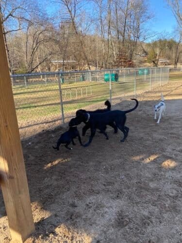 AC9h4noTEniubDWY7zkLa7YsTjRjoTteL7xAX1lI9tLZn3OYyzQYp0EHCxN34YujQvtQHvszuuAiMRRgsHpHWa Ps92xkvXHytVkGJViEIQHFAegsJQho7mN Mgibc5ho cYCnxFoBVW9Qw1600 h1000 k no