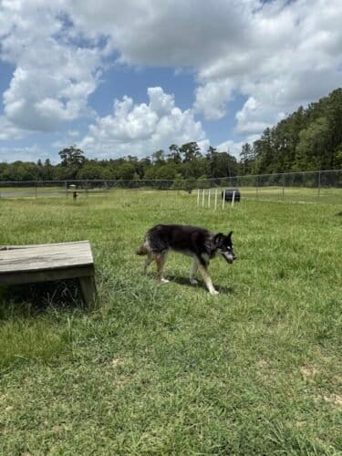 AC9h4noTP5TmvIonXn0L8uwUO5LATihpfnh GmNBkE4yvylv2gy QUaL8mpzkl2UVGer6BwsfSZtauakLx9FJYiF0EWBxGwJUx uIGmAg2s5PV 2D2bKpKptvRWvloYW05M2oGf9V1fSw1600 h1000 k no