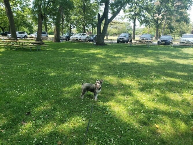 AC9h4noTRKFFMp69r9HyBD12Ds3HpFIqYMQfJU VT sdETCql5GuXQYgg9tQEkglNt5FTY8Y69nrc RzEZOTYnvCvuK vIV9BbhIB KkuyOB v3Mp8VIXV5mY6vf6cCb v657x6I6Tsw1600 h1000 k no