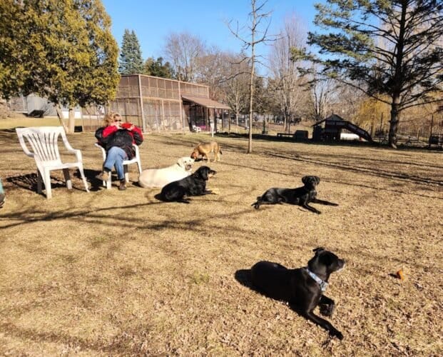 AC9h4noTdzQpKNN695g0yf w3ZrgHzOaktr5FkKQt9a g5yJl5jjbpeL xMrtY6OUmHnSPEQp5Morb5WLrvQ47yGefT8OgiFJSncqXuQ6cQbLPrnGZKwo7wqyey04uUw5GxCJ GnsWpUXgw1600 h1000 k no