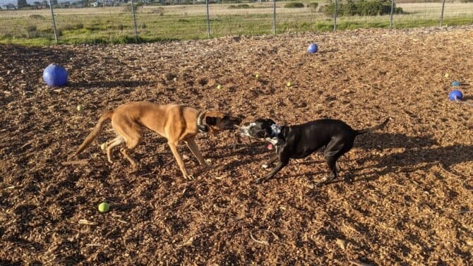 AC9h4noTh ANwDiMbXvzGH0RztR 9bM6E8G2fEe6C0xeWBRElqOv3hnaYqb0UP5  73JQgtNqVFFGaEhTs ouTMEQXRYdV1nuqOEoNXA1SK6ebKlIhUfyWtJUh8lajNCGnNnJCcl6v9NSAw1600 h1000 k no