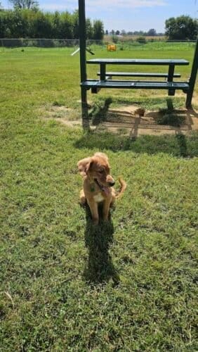 AC9h4noTkBgt5Le 6vtdflntQYxHIGchgPaC6mOHCHvjv4EXIhV1A8dlBjzegHEzep5yO8KxKh r7J45zLQI9gpe HoSKCHylQC YVf rHpTYKlbkH2BAXYmtnHCJVArDSvvOpDM9ReSHww1600 h1000 k no