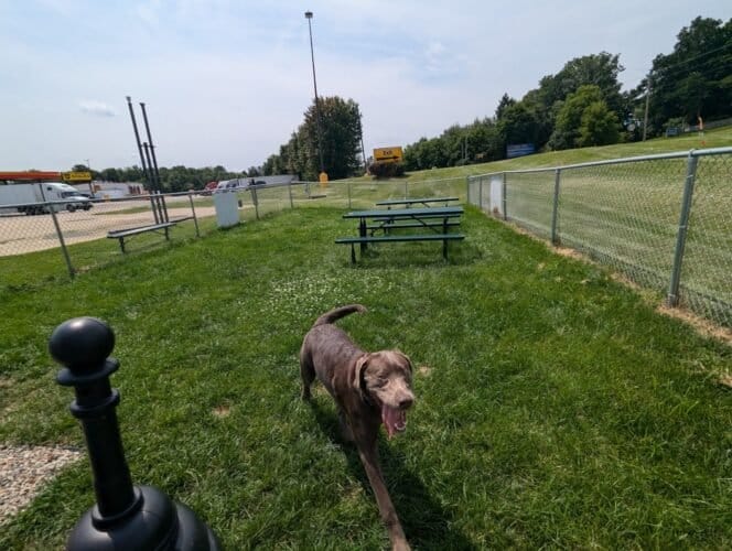 AC9h4noTvcA672LyFmNN0cpBK AZBAsKCtNbR j vcLra15JnfOmPZwoXTtKFhOrhj72yKf0gDceZWMcaEpTc  MhkpIsaF3r3iIl7me3tbCqh96LDJ5z8RlHyo6IiD9ZLI k8d7Nh SsQw1600 h1000 k no