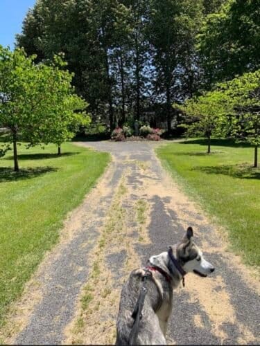 AC9h4noTwI 0yBQGSwLy93O3hTdACEYRrpeVncJMVvvC2YbUjft YPHm1w KT4snlr31dHe0UTpjNkq7zvvOW3A wPZQETnm4JUzFnKs9ycRsOZFXgixj3 a9LkZkRenaWf7AG fpk8w1600 h1000 k no