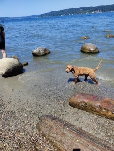 AC9h4noU0gH1Y tYGb2G  TaqJTrR0 0YDhzd7Hu1DtIiz0mXoD5NJQM Acwz3 gP5K5QhfUonZ9mmocxMtGsKdlPRO9qYzODg0Mlh9nYe UVKduFrrcOPRtVhpYqK5GhdL3 JtwOmukw1600 h1000 k no