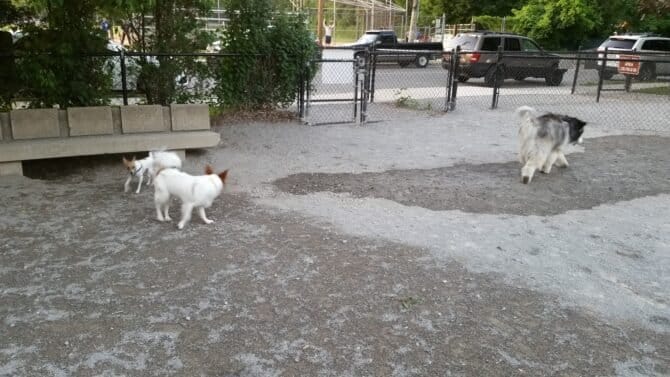 AC9h4noU2CkaLQc dHNAQykq tvcKv3Ak8VMyHnSiMuUPG783NheVTNF2R8UcJt3ovZ EtXNEkV6AnH2rjT x1PXXZ3Tsql BARtH KugZhR7m B9qicX BC74CQAw5I5f7 nWxY 38Iw1600 h1000 k no