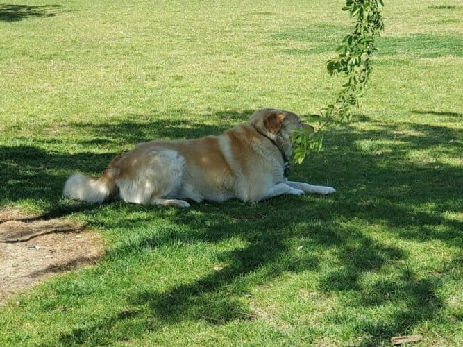 AC9h4noU38PJsJdiQMyhsjhQivF5upPtGmHMP55cEo26kdSwyMGy02FU51SAaMZjNq4ARIfYWqn4WAEEWHS1AoILPNLZzcHDXszXOMeQ3vBwTS ukPVtxxnC0niiPiw7vhHbyPS3KWICtAw1600 h1000 k no