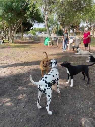 AC9h4noU4cj3uvFGry7ldv3rYAgUm65 IuDaaL71ycva5C1jKPQk5CAAdm8Ih3AkkAG5bQI2j5N6lwPJxuNR2rm2f7fBA1AkQmgYMoiz5jydz78eFWlf7X6PpOfVFPjzJW2Mq xu47t1CQw1600 h1000 k no