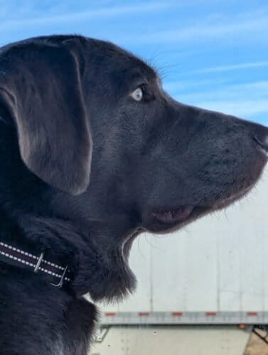 AC9h4noUMkzvqQXstZdvBYdtRbUPZsJFtjhKyD2xM4f3tSDU3GdQTao4znOaRPWyWRPtkUWoU1brVOwlo4fYw1Z27BXkHAdzIwrw1LHYn SWQ5 kPvy4W sBC7K2o3D5FE9hI18itsMTw1600 h1000 k no