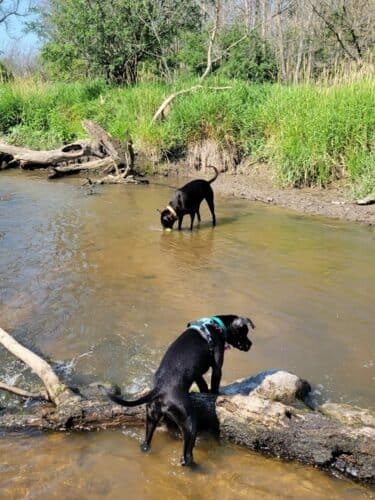 AC9h4noUcYI3LLY4QBjXabOLSmDi3o2szsvVRLYhNoA4D60Vmw04PvSWYcdXbV2LA42fgpzlidzczBplRI4ssj0lMjqDCqi2sGZp3pmx2VKB 4xcguEnPR3oGgMmFz2y9cCJ T0p7Dcw1600 h1000 k no