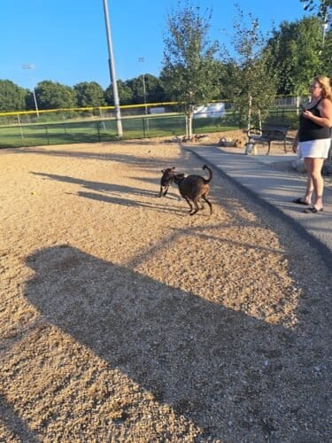 AC9h4noUhJAiT4UqY2csYeMDtxr8820np ZZpw1HvS6ys HHSJJmOIFrtcizk3TqJ9yfQMyL7acIYxTnJTLnrnp1AEd4LupVm1IhU0 WxImWijvmLyK0KAqJPilR5TtYaek5gGLwMwHMw1600 h1000 k no