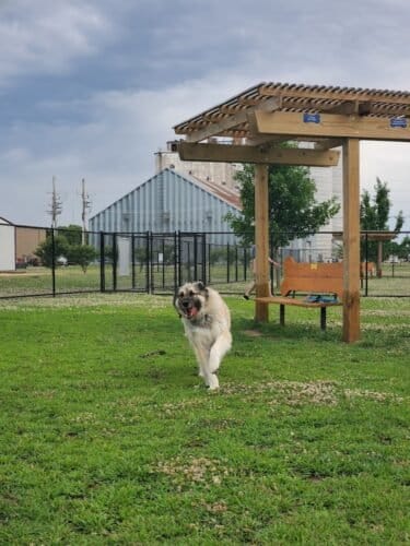 AC9h4noUiRnpuh8Bv RAXpLuPjvc Mx7SCjFb Ixp3LltvP0wVIrsQ4CDbDQ5PqUSL79tuvuuDJQ0nDjNK5r1t5h4uW2hLe4JGMD4pO62pFVZCUYI3dsC56d4tNYzVovpK3FKAQaHPvaw1600 h1000 k no