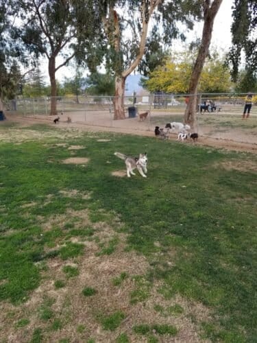 AC9h4noUwoKAt9mpVnqQnhsNdij8X sSHObsRr9KjYh342XjR1FeEvGwL8m2 JmaWAmvoEzU8QAloQtk1dB7 SVaJkuo l3V5Ce0WDoqVpxdm6R7TUjqR4NiTYd1tzIQwd6Oxh9MMtFb Qw1600 h1000 k no