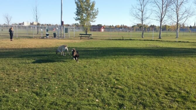 AC9h4noV5CQ7LlZR3us W9Z3H9tHsdmoIk E6sXVQgdnkLaVkQLUZVyuzVGm0g rHpS1IyeMeoHE4jZNSfWCNplwFJXuHsGgiearGv1K LwfJ12OZ 98TP1FVfboDXUe11i3VGDumFW4Aww1600 h1000 k no