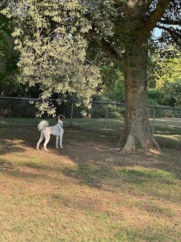 AC9h4noVAnbavEPozT0NjFJr29IhLwNvRoCoqCvQLP0WGm6DTDTBv2UGU0 u q07eFZAmMvPq 7Dh84nEO8  p5LLsCNYRjR6dTnLvvVwX9W6IYtM74xIsneAFPHwBdEMdegfjosZspx gw1600 h1000 k no