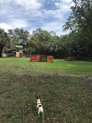 AC9h4noVCxid2Dps ZFe4Dsb9IuenMKeD0fe6n7k5gVwOrRUnx1yeADJmkarZGNvyzsDKCEY4KaGRU39Y3SJsaByPAdwZPcAWx7Aoafgcgw1600 h1000 k no