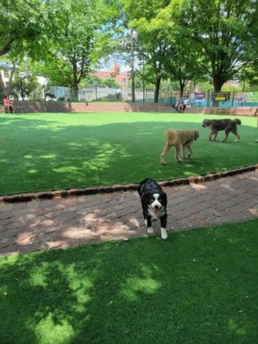 AC9h4noVDZKGuRDPa43SBg9cx3NXH56MciieBLuR57Yi2dJBG9DX8hRwOv9cb1Irmls7TZ1A9bdkj Yb0TgydxwrHBCohmLzPyjGBHl V1RIvGewnLMwfEAT3 Tsrza51uhZA30WcSFJw1600 h1000 k no