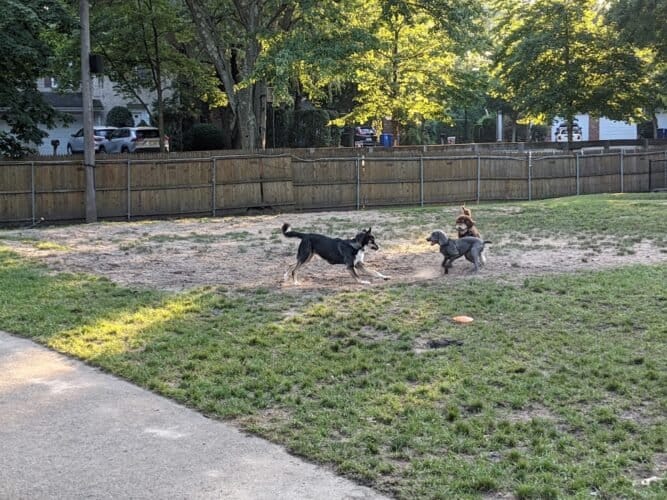 AC9h4noVPqtWJxnLMJGpGcqklktYmldWAYBiu4oJocF84E3CMUiUMt BSC4zRvF6X HSCla R 7jTzwzVHA1JtjppVHUYJsPw8c1 8wy8e2qQeSJEFbihcsjcd4wIRfbYlEM45sSATYww1600 h1000 k no