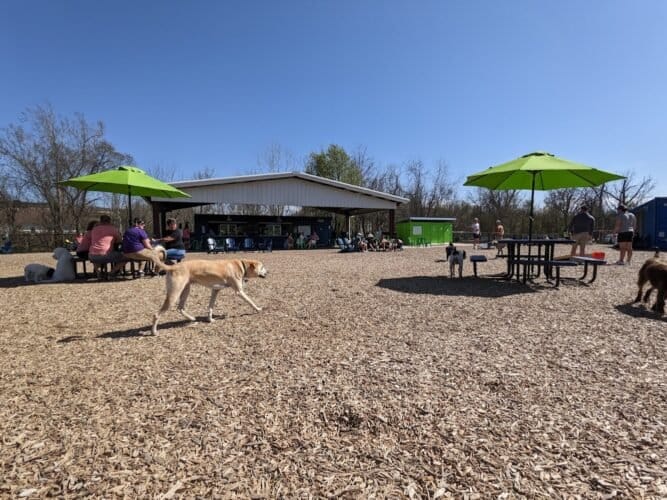 AC9h4noVYT1MM6OZvAhFefWoA8c 7ULLzt8e1o18qx0xByqJQlFLV3Loji0UdVtlnU jskCpx1BFJLdzIELaqQiiH53zpHziNPopqxIsceite49uzvc680hmPajg9jl5NOptzDXELKjjw1600 h1000 k no