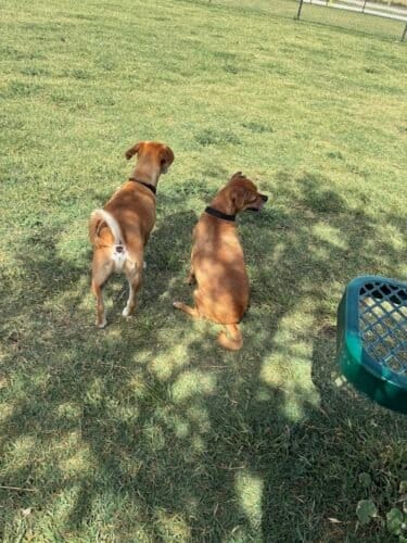 AC9h4noV  axVKnJo7L5VC4KNbuMhe8uAwzEqe0WYiYub6QvIUuWkCyzob2HiU7W7rsKqaJn4MWqxch p3bboTRF1FoOMSB12iEB4Pwsnn4x wSTw1600 h1000 k no