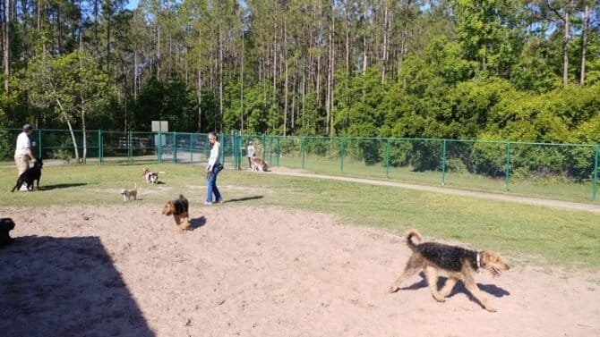 AC9h4noV fBLT4 va3PGk6UWEJ310uqsTCxI9M5ko8P k9QeDS0Vs 0OlJ ywot3FFyntfkW6xf3NxdEjVRdzCPPsjHC7QQ6RVeYwax97gw1600 h1000 k no