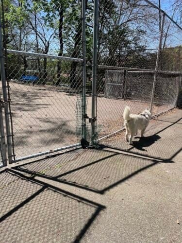 AC9h4noVavtioxQTtmm775VRLO7q4gV349OY9d7FF5o2td1Xz3o4ejqfpDQdwHiMSAhzMsNk40uvZ7kF6FnRUtRiLIPSsYMJLYeRRtN72omfAInkOs8Lp0pTyHDq8VquOtWK73WLcqdtw1600 h1000 k no