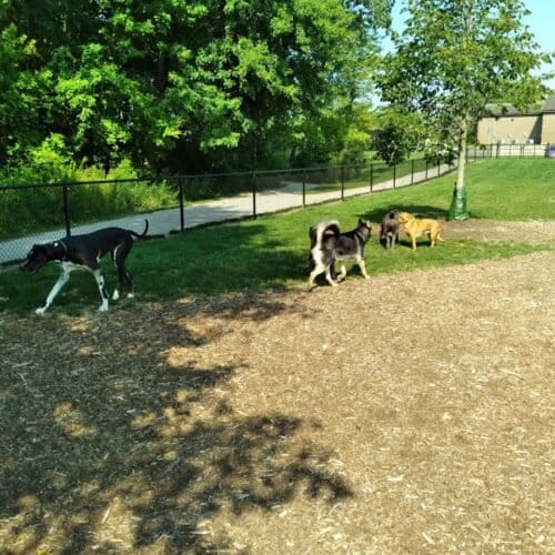 AC9h4noVbE28LJBcJ fnslN81HtgyB6SyIBwrCatppms0c9lwRLsfXmUp3UJSBMv gvjZcY ux1WNY5xnLrrf3g ZWgpFvtjolalJwf3n4hXzPiXG212IiWBSe5FOx3VFmxrgWXBoacw1600 h1000 k no