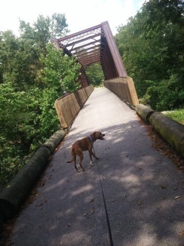 AC9h4noVeGQ1ZM HEXMk5zQcKoqIpUOG0Udp5qJdXGhDyRmWGRuPSKsqrmbwfQafsRe4R0Rhbeui0KR647CpMYGE2t425lPU6I70a7g8edv18rj7V1uYiJevPlu3jh5zS AnG RR6NvRw1600 h1000 k no