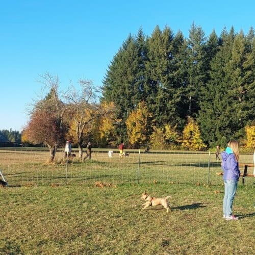 AC9h4noVuNM8yDascLzhJOejXp Zb2LIbNkNoFa1 g9NAvP DIKjG2wWbrkoTL2nnOvW3CQBrVp9as4zMb3jH7oftcI2kGvGEevlqv9jJxmoSiQw ZaWe Qk7EJyRR1U8hth3rzWE07HkAw1600 h1000 k no