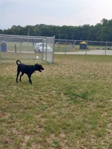 AC9h4noW8h6p8WHI8E pdSjN9kcOg9OMsY7PxwphVAhjXGeSu9KuzwL0ze9Ktidw1X4T7D31gKSxxdb0feHZBFmvpFyK73AOnbbFHsVtDdb9JFueJjiguei7cTNLkZyNyHwlaBF421Jkw1600 h1000 k no