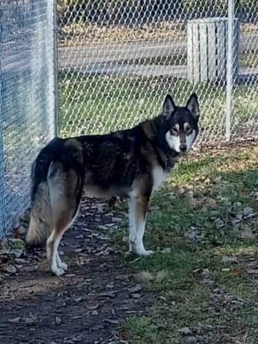 AC9h4noWD9M2taMyuYr4TbhqVCMg3H2XMhC8KRuUJP6kX33KrvP0c0H7iAqPNMMdYWlD4eVUBVp8xm7i07WNezfQ5NBjoUoV8I3AfNyAfdziLY7eqr1DZLt7iW4DSgtSEnq0FWZ4akQw1600 h1000 k no