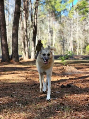 AC9h4noWG asTYXz4GrMvF2hnRcgfYf7KFjrhIIJDymVicgHvrmlR5GD7bIgDJqBsXasjRYHX3UXN6mGBpwsZHDCiWBX6lZF4CF77XxshYQU8 EXSsbUCSE5bfuMniNelPs10Sb1Urgw1600 h1000 k no