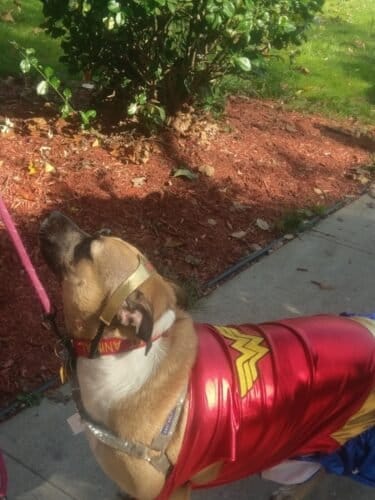 AC9h4noWcEewV Bew vwmPeI3c5pUrkY2w2BTFd9NxprsJqE8ALmJJiLrSXaSz56wmLC0oETAH372Svm9AIbMQ6mqDtbPmYliWXmEhXvPglYAPNcNup7InbfSV9rd6sB3k2cPLrYJI0w1600 h1000 k no