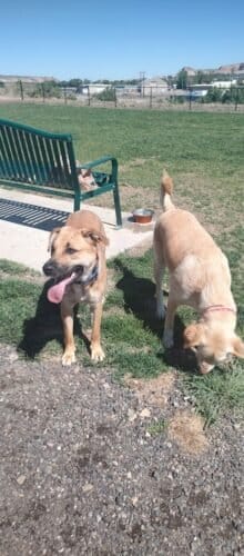 AC9h4noWcuCBSq3 WU0He QP2iPf45ZiJFDIsXk6TCneeQps84awJT1cMlXkVKA7owemvvKRZQwDhs u54dcrP giCebt5sh4RY HEU500w1600 h1000 k no