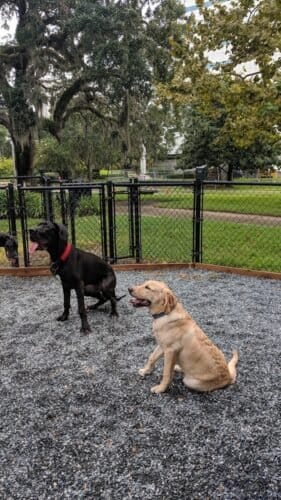 AC9h4noWfHoq 94QRyALCHmvM3XRm9EZJkvg1LZ1KhgXTeTX9p5Ya5SvFtSwaNesId61VDfNzzkTWM2gnLs0COo0eki zwCUHUIPU48F6Aw1600 h1000 k no