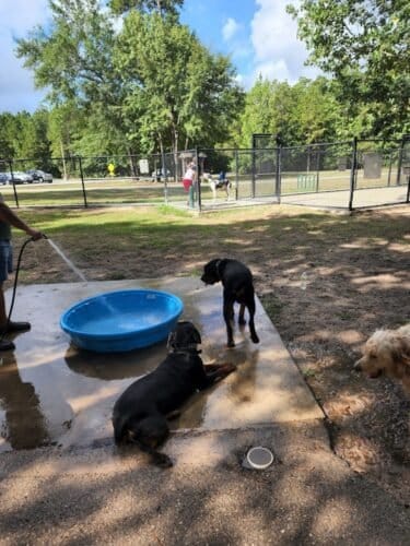 AC9h4noWhvQiIFrIjeUKrpy0SfoZIVqZr3pB7c5K7nuQ Sq RbQPSmbPk3UgUvQ6M93NPQlc2RgReGc34wLaX4Ue3RTzLiLatnTF9YkP PJ0jM35QxRS7GdP363WeOSITT30EydqI5ZGYQw1600 h1000 k no