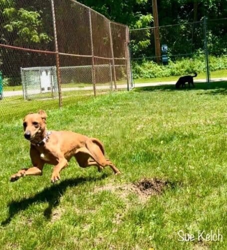 AC9h4noWnDiZpaQD7sEcbl7Phw0xeW kPkRtOI64pE LWOdOXoSkTfKyfrhkjGhOwFdRtIssuGkafGXRG8DLjaV2ijIbg9awth3jOFUpc Mw1600 h1000 k no