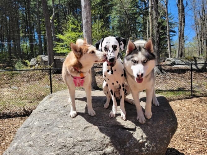 AC9h4noX TEZEmDhtXPRQ5uJoBCnKRZVILPY47Zng d gOn2iapJTD9JnAVrB0vBeRaEet8gX6AYgAuzzSe5 SrS6odKYwm6tcR1NsecgrqG2MhOcvtOKDFuRGMv tlEqas3wWBcvcEV Qw1600 h1000 k no