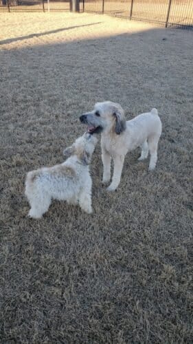 AC9h4noX1VQVkHJQdWse2hUyfI1RZZUe3McOoGMtNsiA5NJzK4Zg4WJM58z6S4UXD2uyx BnZMlRLCoHOs00asi brvWo88vIbwPySjTgiJrCujQXzD3Yu7 i YYmtxfAjmhlYXgjJj2DAw1600 h1000 k no