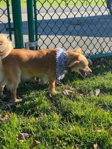 AC9h4noXAuDXCiGSvVB2oy6oAooMgcFkAQbnsk1IdDfkEYkvQJDqMgrmc5MMCIfkF oGWwRwricGIXyNr3aV Ozn6gJDeELuOzSxu3nJAbZbO0hpP370pT3KzLtPV1XE0jWrcqKV izMw1600 h1000 k no